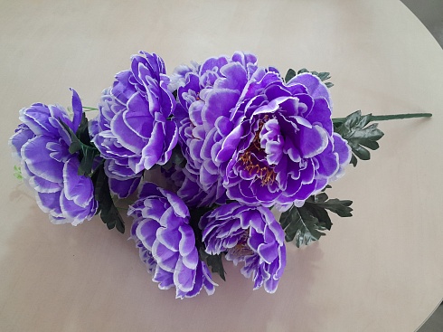БУКЕТ ПИОНОВ (9 голов)