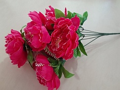 БУКЕТ ПИОНОВ (7 голов)